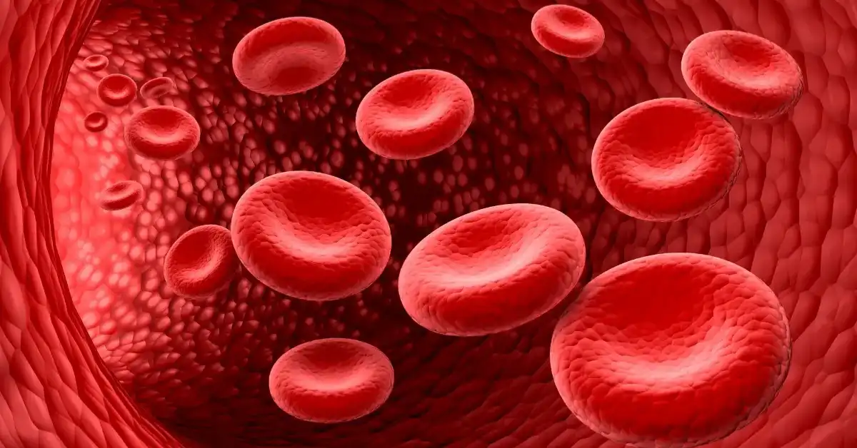 Blood Disorders