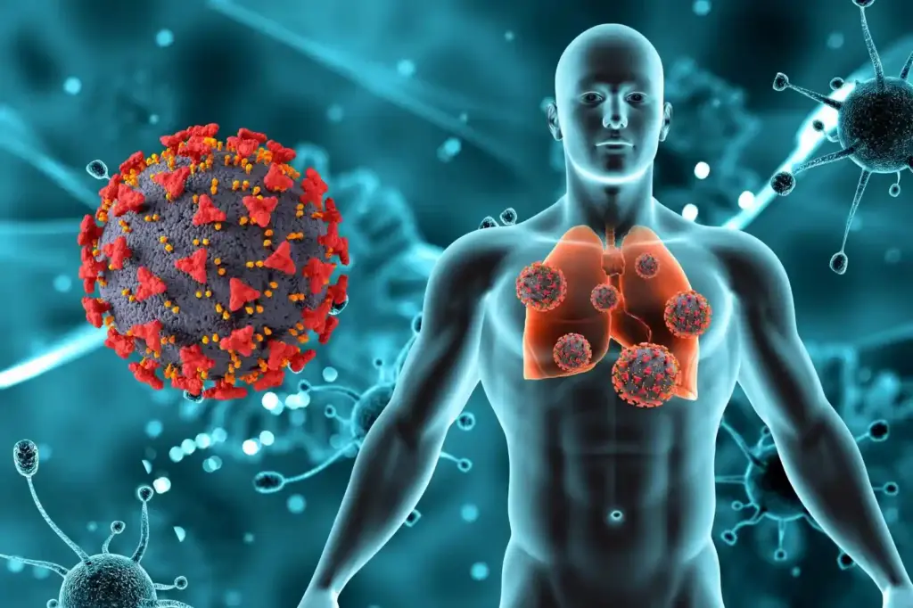 immune system